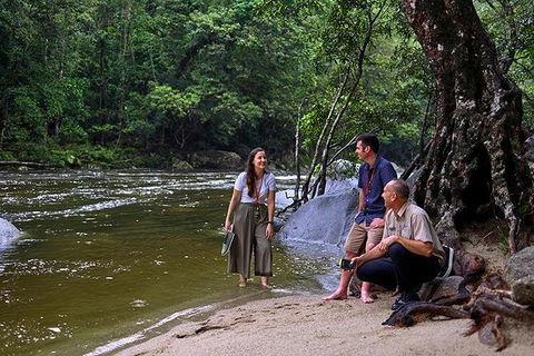 Daintree And Cape Tribulation Tour From Cairns - Accommodation Cairns 2