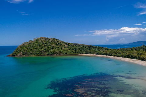 Daintree And Cape Tribulation Tour From Cairns - Accommodation Cairns 7