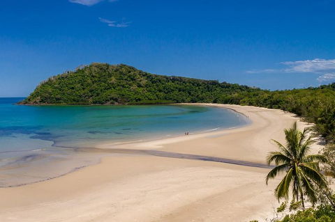 Daintree And Cape Tribulation Tour From Cairns - Accommodation Cairns 8