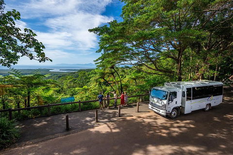 Daintree And Cape Tribulation Tour From Cairns - Accommodation Cairns 5