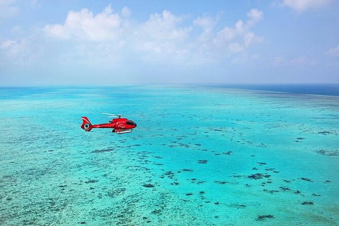 Helicopter And Cruise Packages With Great Adventures - Accommodation Cairns 3