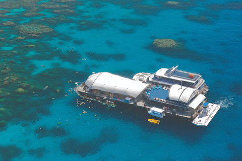 Helicopter And Cruise Packages With Great Adventures - Accommodation Cairns 4