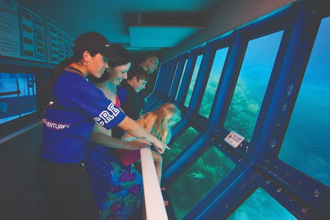 Helicopter And Cruise Packages With Great Adventures - Accommodation Cairns 5