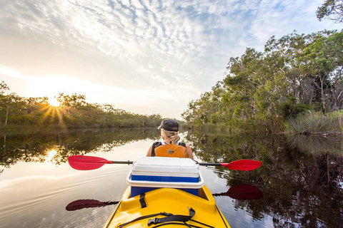 Self-Guided Noosa Everglades Kayak Tour - Accommodation Cairns 1