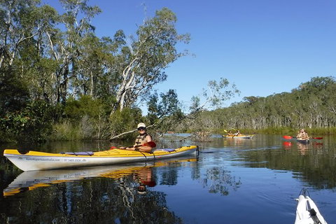Self-Guided Noosa Everglades Kayak Tour - Accommodation Cairns 0