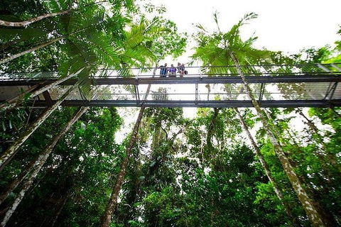 Daintree Discovery Centre Family Pass Ticket - Accommodation Cairns 3