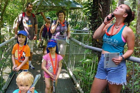 Daintree Discovery Centre Family Pass Ticket - Accommodation Cairns 0