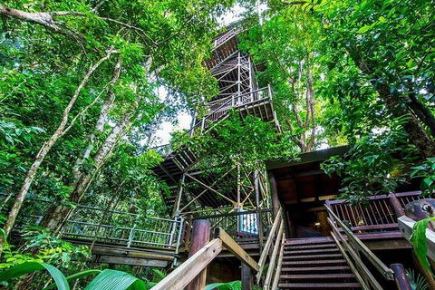 Daintree Discovery Centre Family Pass Ticket - Accommodation Cairns 4