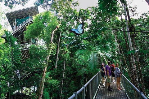 Daintree Discovery Centre Family Pass Ticket - Accommodation Cairns 2