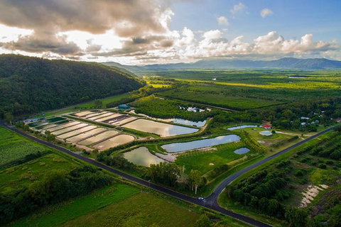 Hook A Barra Fishing Experience - Accommodation Cairns 2