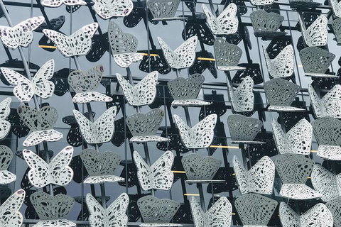 Discover Brisbane - Accommodation Cairns 1