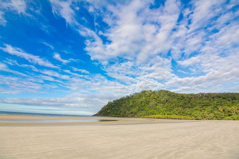 Daintree Afternoon Nocturnal Nature And Wildlife Tour - Accommodation Cairns 8