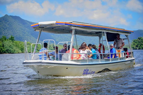 Daintree Afternoon Nocturnal Nature And Wildlife Tour - Accommodation Cairns 6