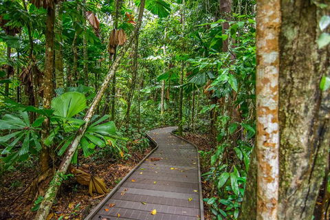 Daintree Afternoon Nocturnal Nature And Wildlife Tour - Accommodation Cairns 9