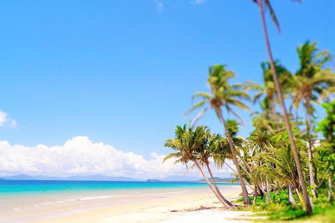Airport Transfer - Mission Beach To Cairns Airport - Accommodation Cairns 3