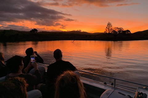 Daintree River Sunset Cruise - Accommodation Cairns 0