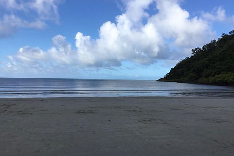 Daintree Luxury Limousine Tour - Full Day - Accommodation Cairns 6