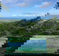 Daintree Luxury Limousine Tour - Full Day - Accommodation Cairns