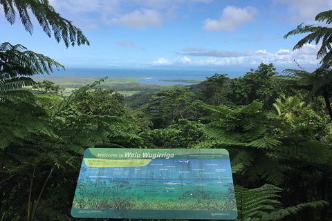 Daintree Luxury Limousine Tour - Full Day - Accommodation Cairns 0