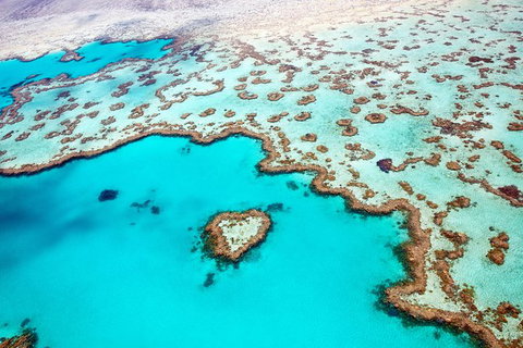 Whitsunday Islands And Heart Reef Scenic Flight - 70 Minutes - Accommodation Cairns 0