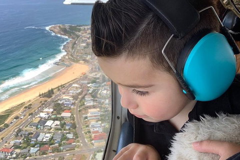 Whitsunday Islands And Heart Reef Scenic Flight - 70 Minutes - Accommodation Cairns 4