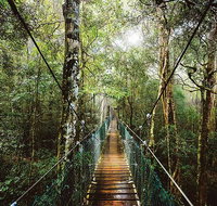 O'Reilly's  Lamington National Park from Gold Coast - Accommodation Cairns