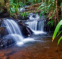 Glow Worms Tour - Nocturnal Rainforest Walk - Small Group - Accommodation Cairns