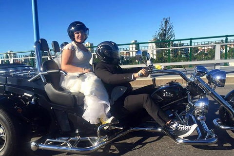 Unique Vehicle Tour Around Brisbane - Accommodation Cairns 4