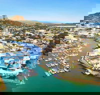 Explore Townsville 7 Hour Guided River Mountain and City Tour - Accommodation Cairns