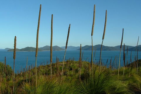 7-Day Private Sea Kayaking In Whitsundays - Accommodation Cairns 8