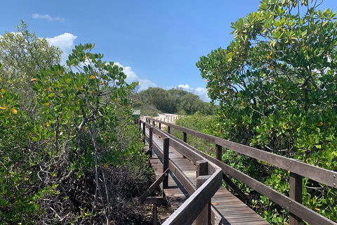 Hinchinbrook Island Tour - Accommodation Cairns 4