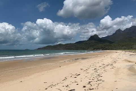 Hinchinbrook Island Tour - Accommodation Cairns 3