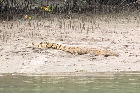 Hinchinbrook Island Tour - Accommodation Cairns 2