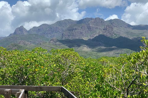 Hinchinbrook Island Tour - Accommodation Cairns 0