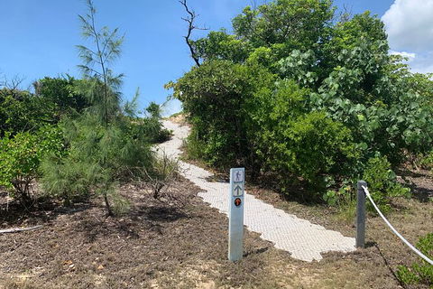 Hinchinbrook Island Tour - Accommodation Cairns 1