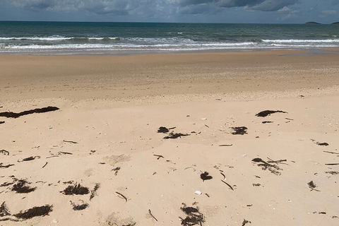 Hinchinbrook Island Tour - Accommodation Cairns 6