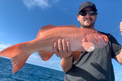 Great Barrier Reef Fishing Charter - Accommodation Cairns 3