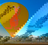 Hot Air Ballooning Tour from Northern Beaches near Cairns - Accommodation Cairns