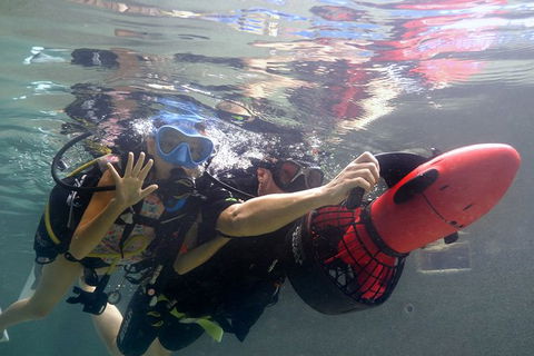 Scuba Kids- Padi Bubblemaker Course - Accommodation Cairns 2