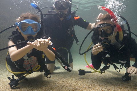 Scuba Kids- Padi Bubblemaker Course - Accommodation Cairns 4