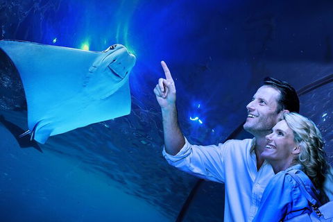 Cairns Aquarium Tour By Twilight With Drink And Appetiser - Accommodation Cairns 0