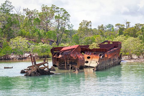 Sandy Straits Scenic & Wildlife Cruise - Accommodation Cairns 9