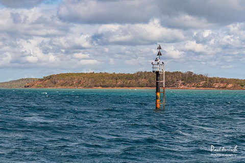 Sandy Straits Scenic & Wildlife Cruise - Accommodation Cairns 6