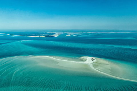 Sandy Straits Scenic & Wildlife Cruise - Accommodation Cairns 5