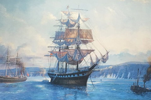 Sandy Straits Scenic & Wildlife Cruise - Accommodation Cairns 8