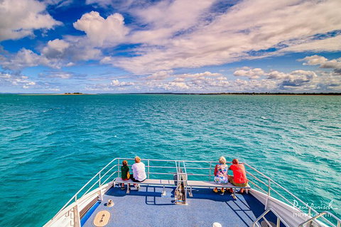 Sandy Straits Scenic & Wildlife Cruise - Accommodation Cairns 7