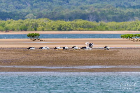 Sandy Straits Scenic & Wildlife Cruise - Accommodation Cairns 3
