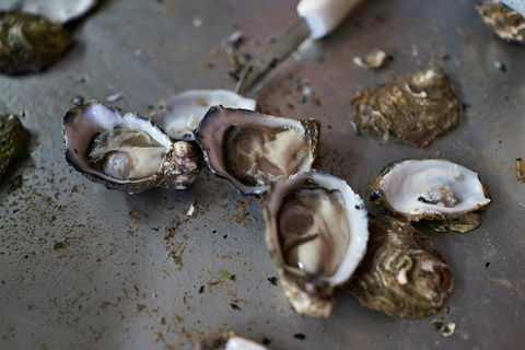 Fine Flavours - Full Day Kangaroo Island Food & Wine Tour - Accommodation Cairns 10