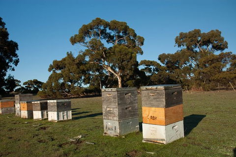 Fine Flavours - Full Day Kangaroo Island Food & Wine Tour - Accommodation Cairns 5