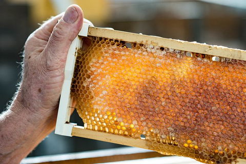 Fine Flavours - Full Day Kangaroo Island Food & Wine Tour - Accommodation Cairns 0